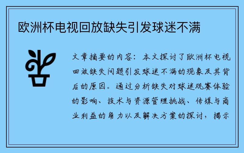 欧洲杯电视回放缺失引发球迷不满